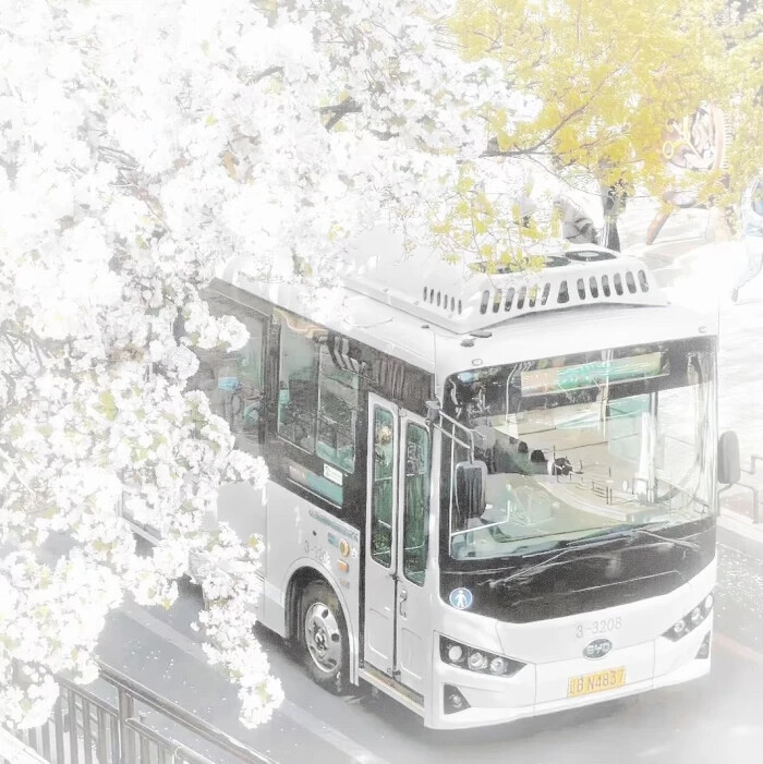 嗯对就是背景图配的很搞笑吧马蹄哒哒哒