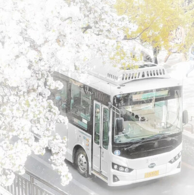 嗯对就是背景图配的很搞笑吧马蹄哒哒哒