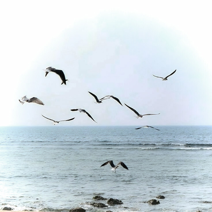 誓言是一场有时差的雨