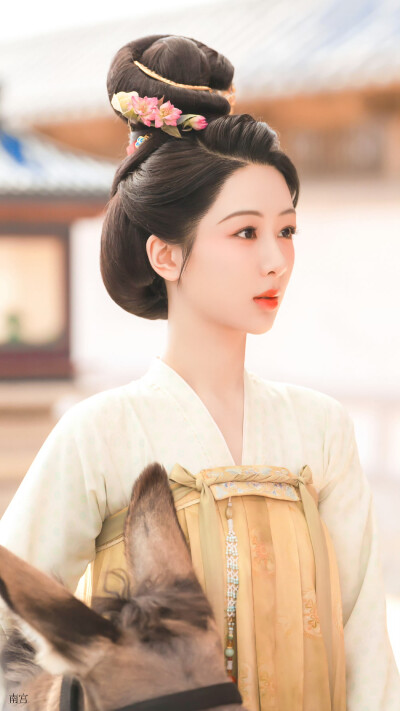 锦绣芳华