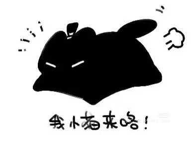 克猫猫表情包