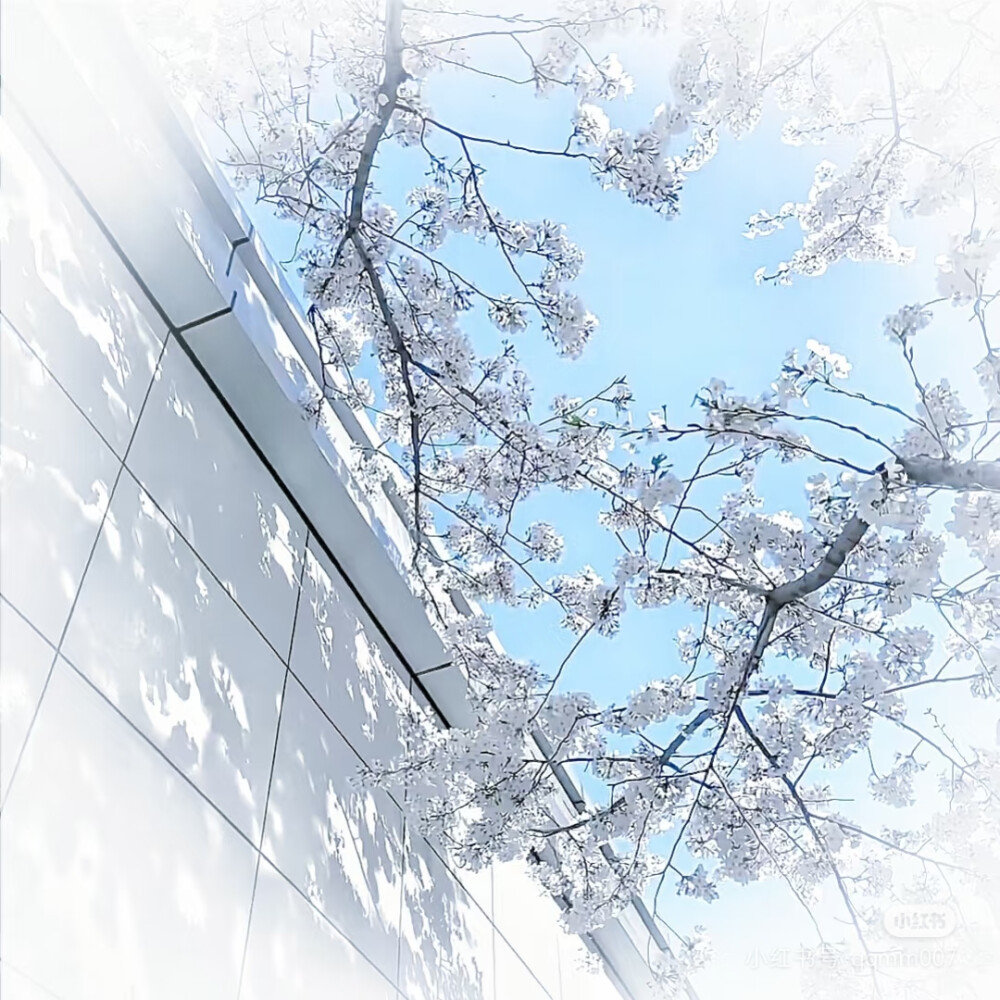 ‎˚₊⋅─── /ᐠ - ˕ -マ ───⋅ ˚₊
水蓝色排版 ， 侵权删