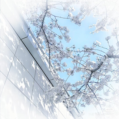 ‎˚₊⋅─── /ᐠ - ˕ -マ ───⋅ ˚₊
水蓝色排版 ， 侵权删