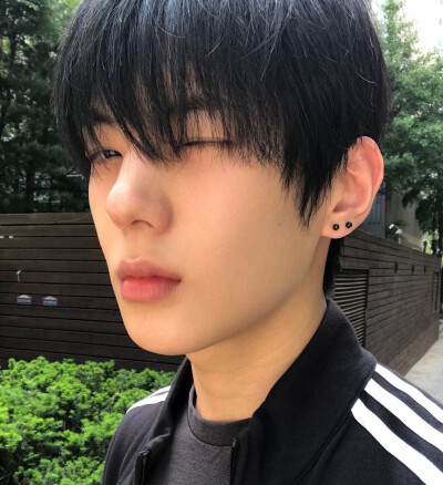 全李正