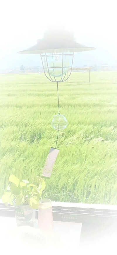 壁纸