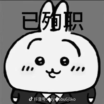 美美哒