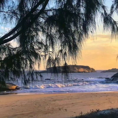 背景