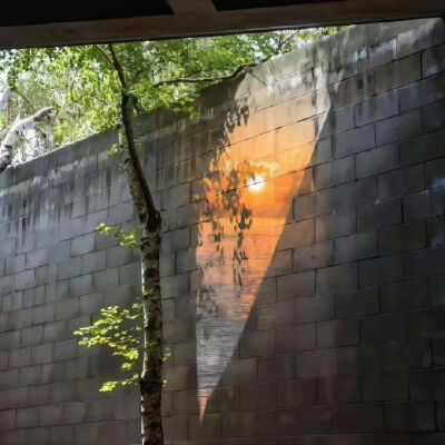 背景