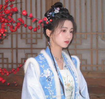 朝雪录