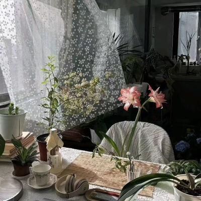 背景