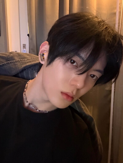 全李正