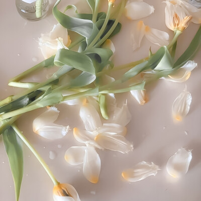 ：阭池. Remix #越过 - Event Horizon&. * 地平线