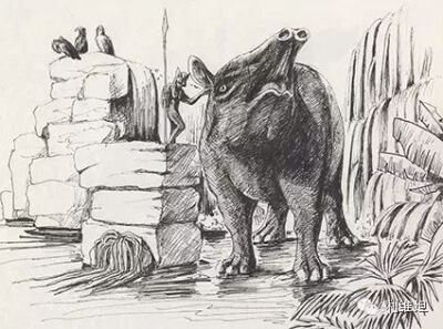 吕谦的绘本，针管笔，钢笔，25cm×19cm