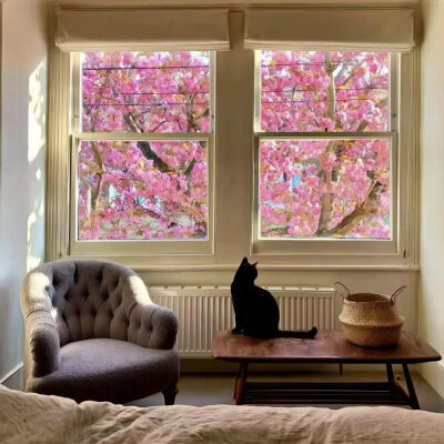 背景
