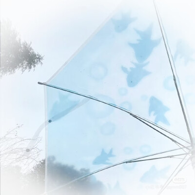 ‎˚₊⋅─── /ᐠ - ˕ -マ ───⋅ ˚₊
水蓝色排版 ， 侵权删