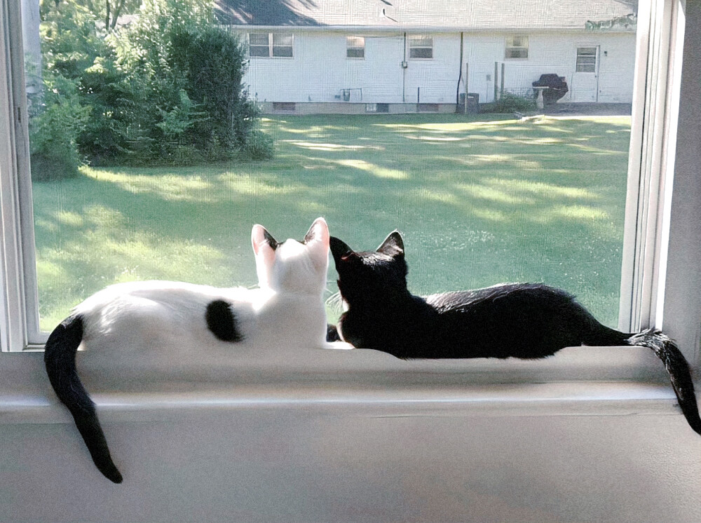 너는나의풍경이야* .ෆ⃛：你是我的风景