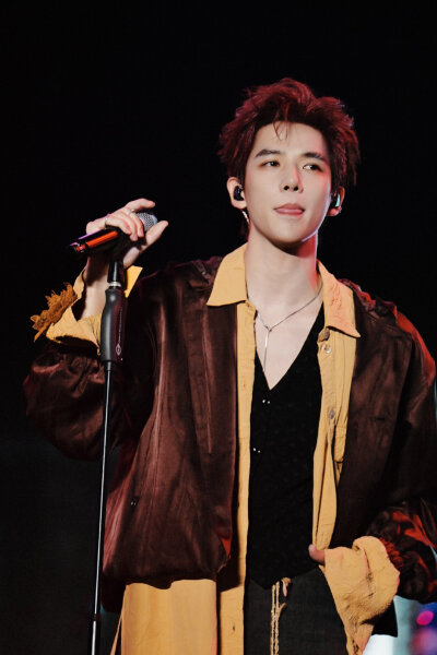 王安宇