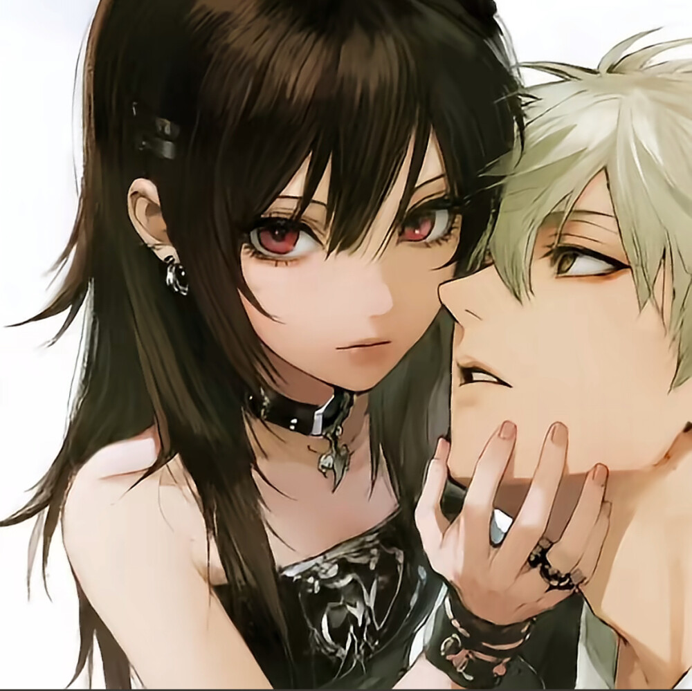 图源小红书：光地