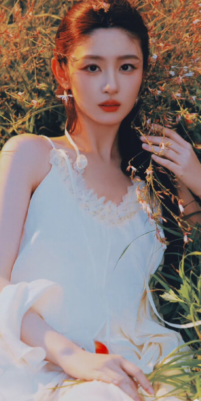 赵晴