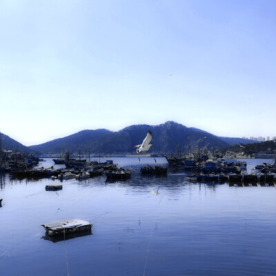 
Pieces of love时钟塔：‘观后感’take it slow