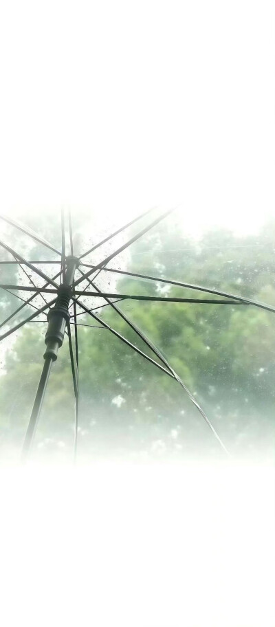 壁纸