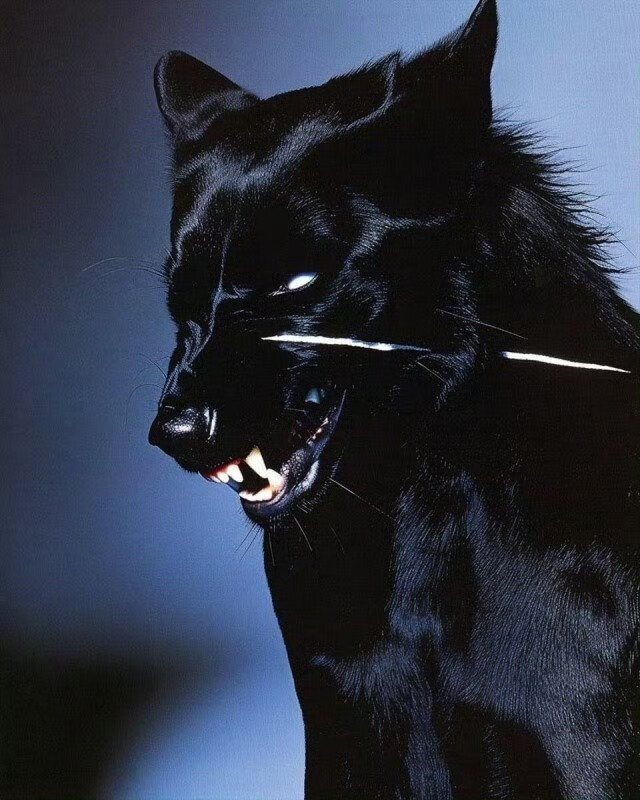 谁都能拍张好照片