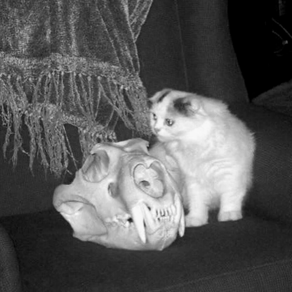 朋友圈背景 封面