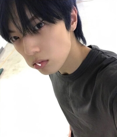 全李正