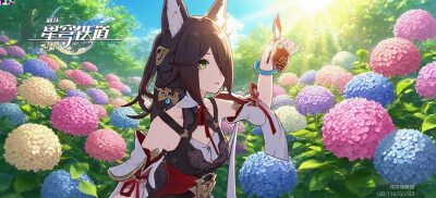 原摄这一块/.作者及本人