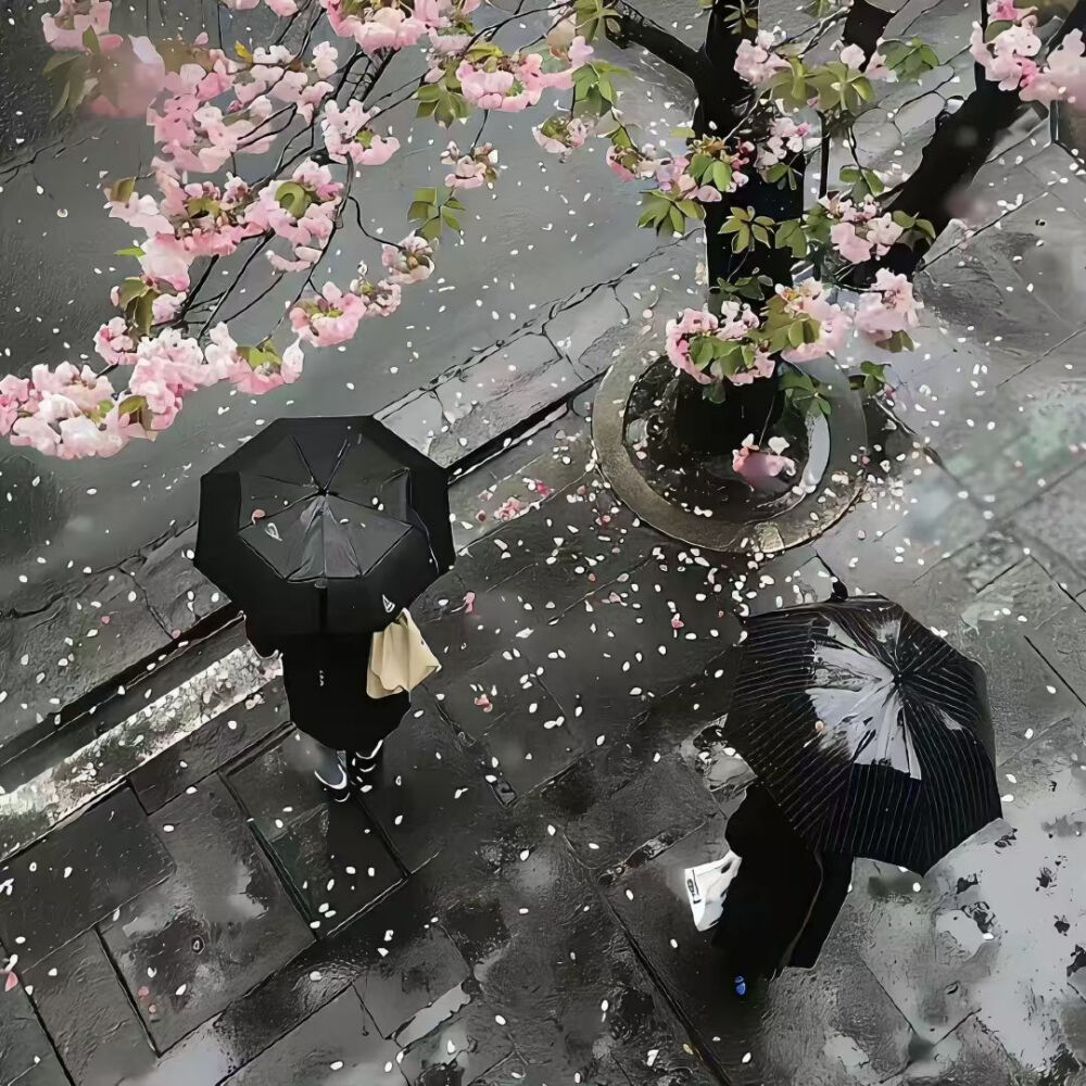 背景
