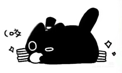 克猫猫表情包