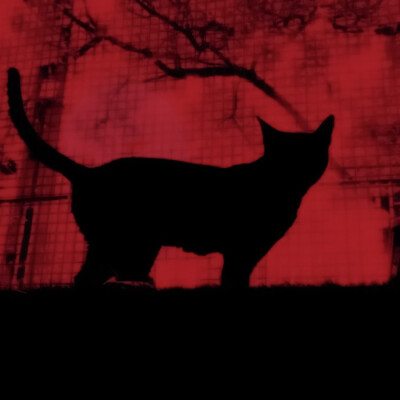 江郁送哒٩(๑^o^๑)۶