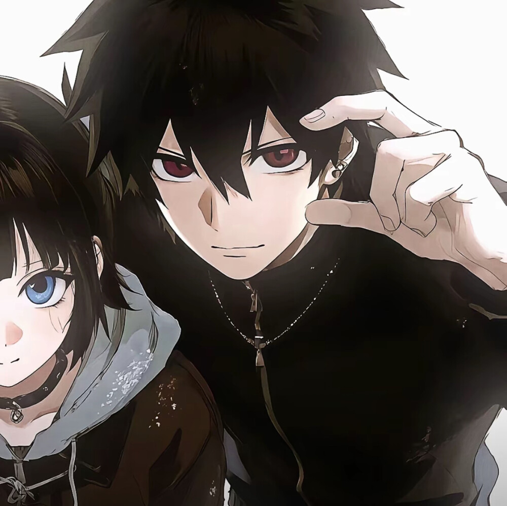 图源红书：光地