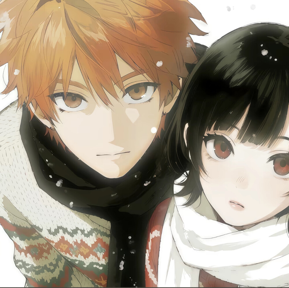 图源小红书：光地