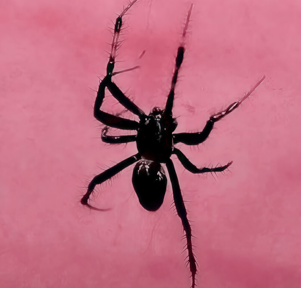 溺水苦涩心脏 蛇行缠绕的路途