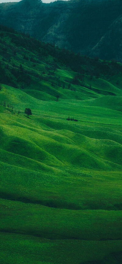 风景壁纸