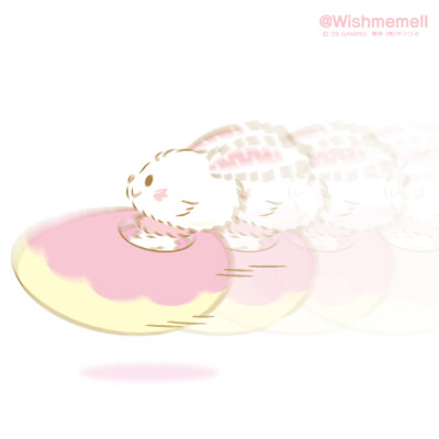 许愿兔