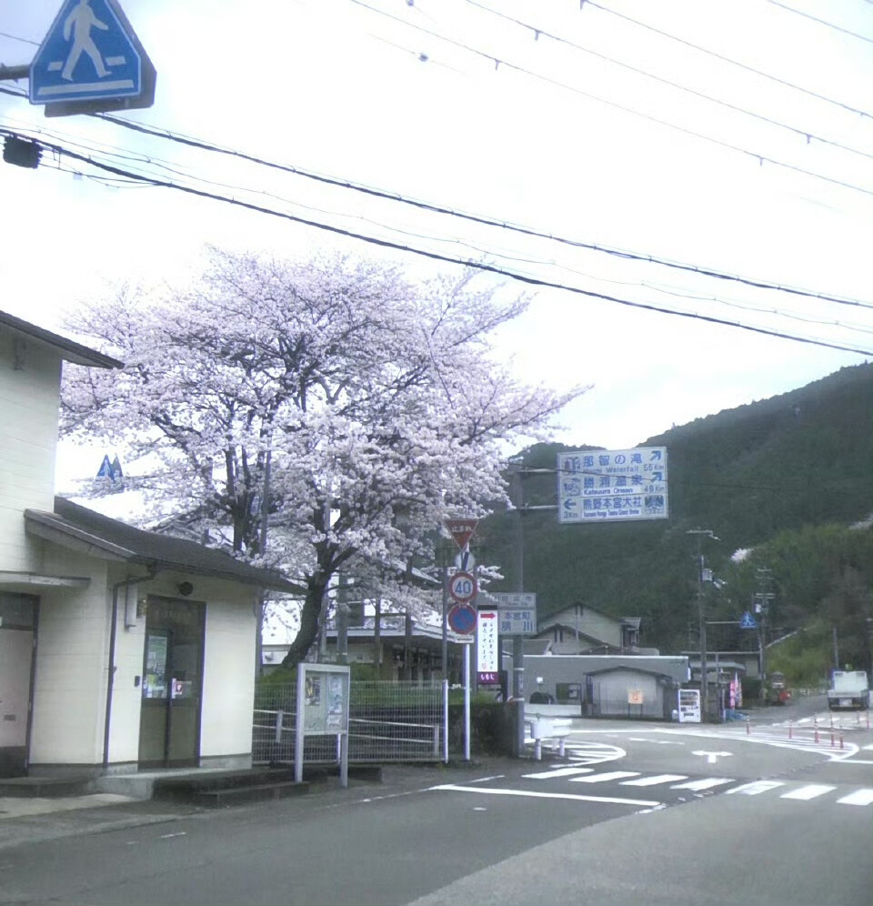 ⊹˚.Fantasy Garden✩‧₊˚夢が覚めた 空が晴れた⊹˚.⋆