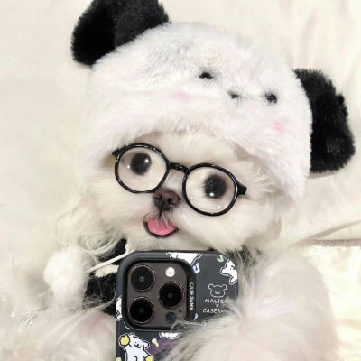 可爱小狗头像