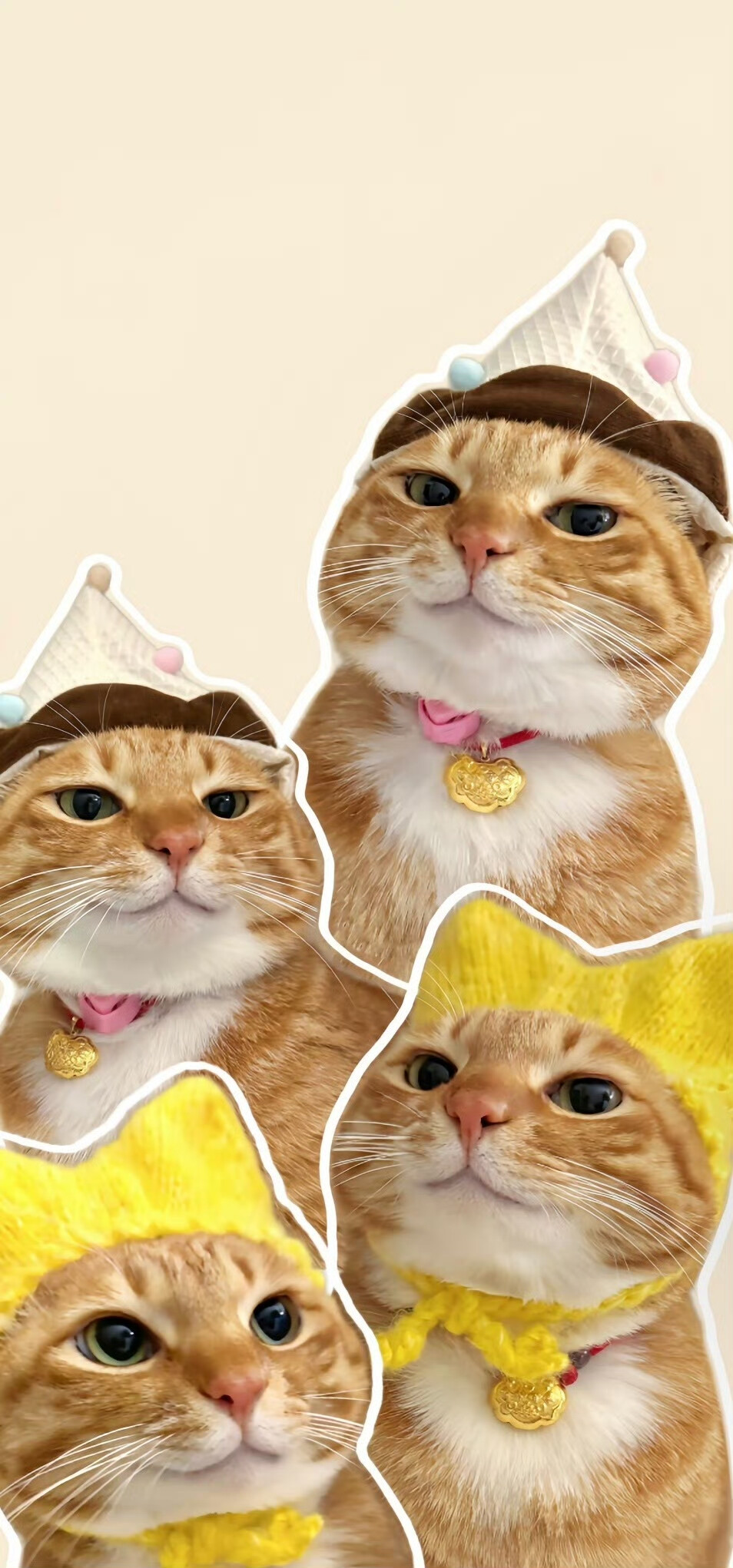 壁纸