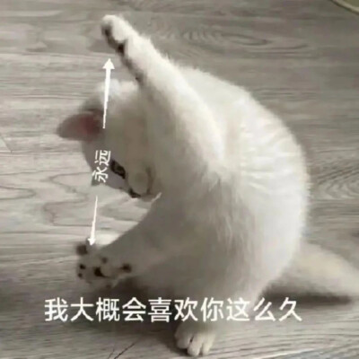 表情包
图片来源于网络 侵删