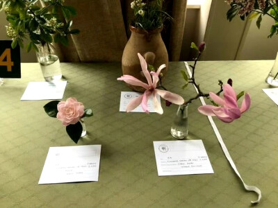 绿色 ins风 平板壁纸 ipad壁纸 电脑壁纸 锁屏 