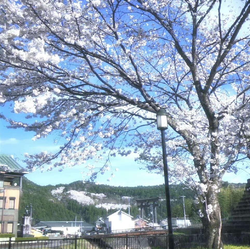 ⊹˚.Fantasy Garden✩‧₊˚夢が覚めた 空が晴れた⊹˚.⋆