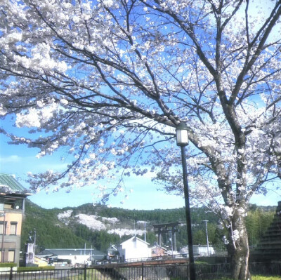 ⊹˚.Fantasy Garden✩‧₊˚夢が覚めた 空が晴れた⊹˚.⋆