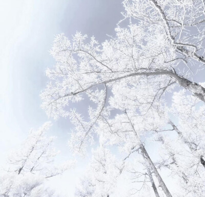 背景