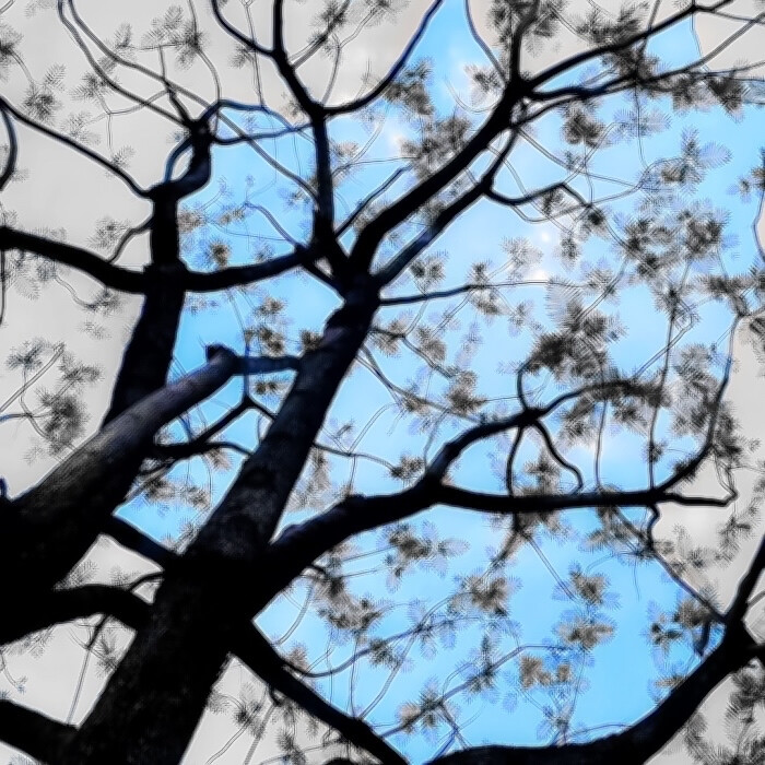 雨伞柄挂着未融化的雪、我们中间隔着叹息的雾