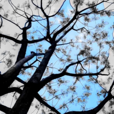 雨伞柄挂着未融化的雪、我们中间隔着叹息的雾