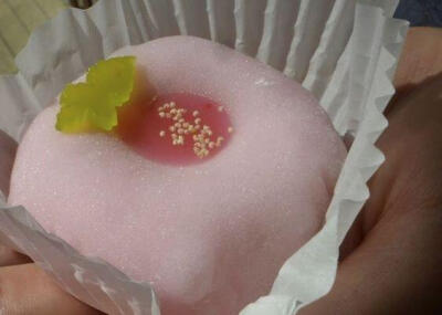 食核 果冻核