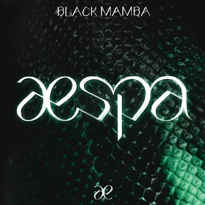 依旧是秋聆冬宝宝^