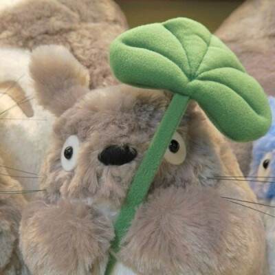 猫猫狗狗玩偶 头像